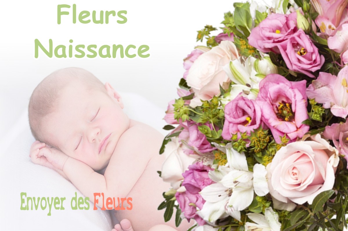 lIVRAISON FLEURS NAISSANCE à MIEGES